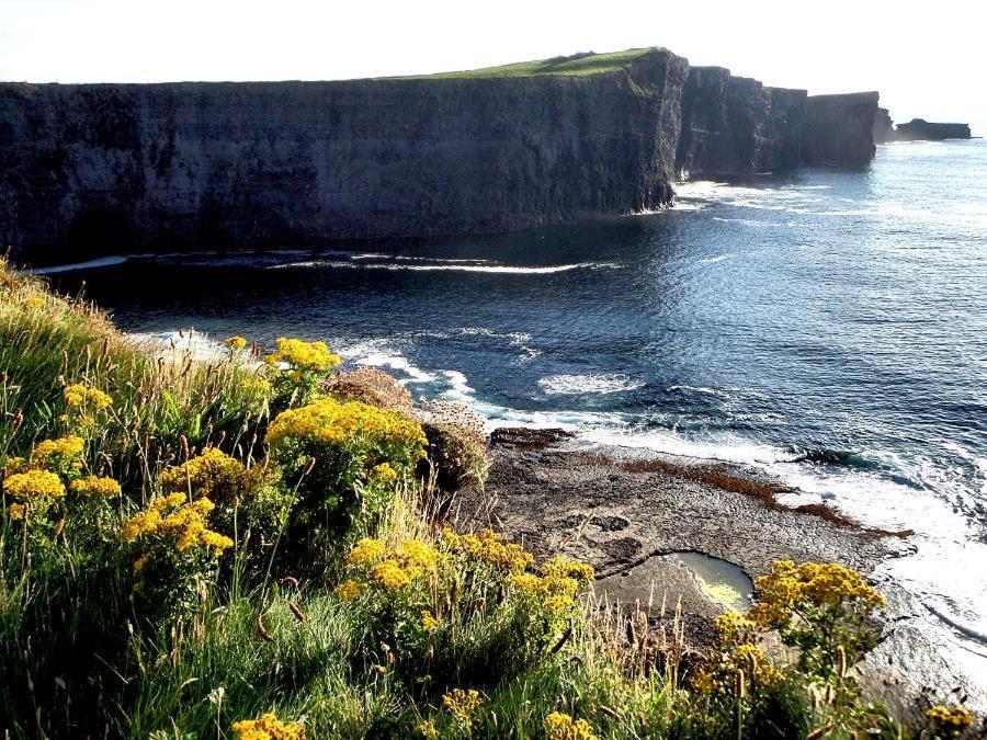 Bealaha House Bed and Breakfast Doonbeg Buitenkant foto