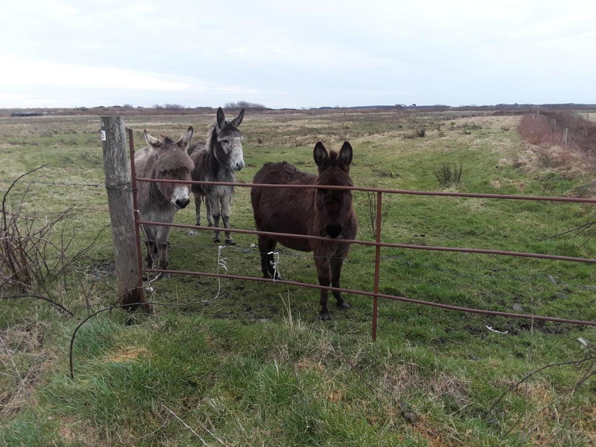 Bealaha House Bed and Breakfast Doonbeg Buitenkant foto